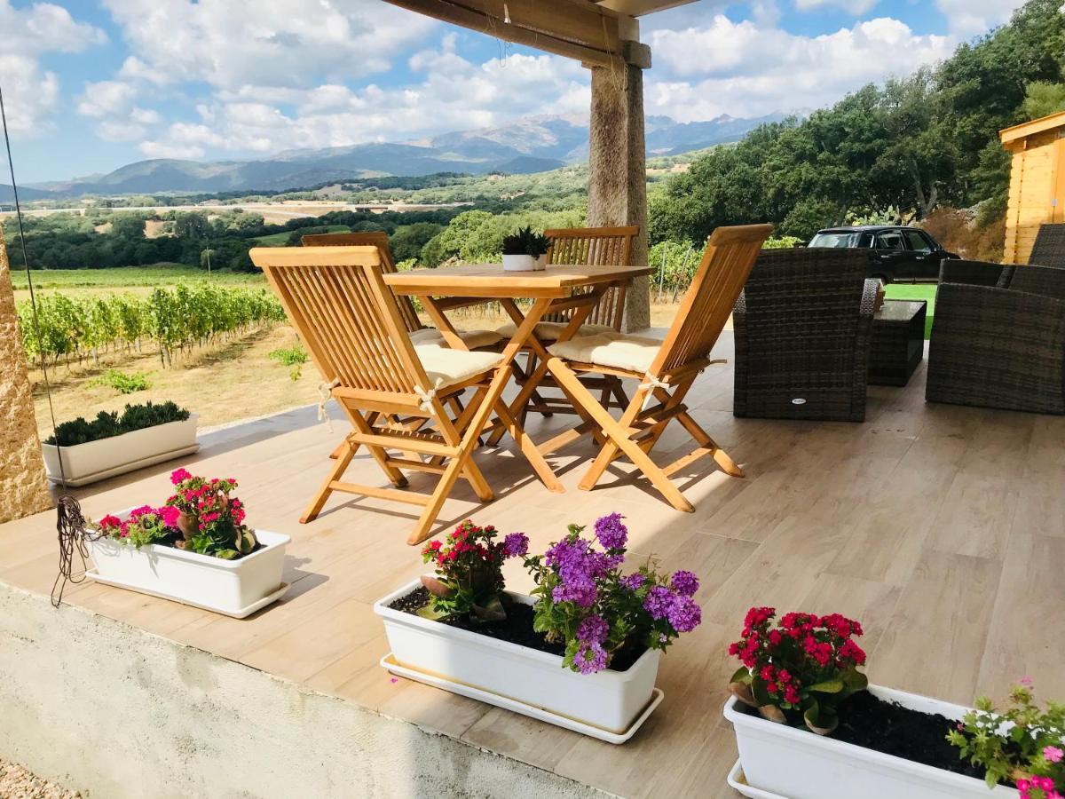 Apartment Elegant Country Open Space Deluxe Tenuta Piredu -monti-olbia
