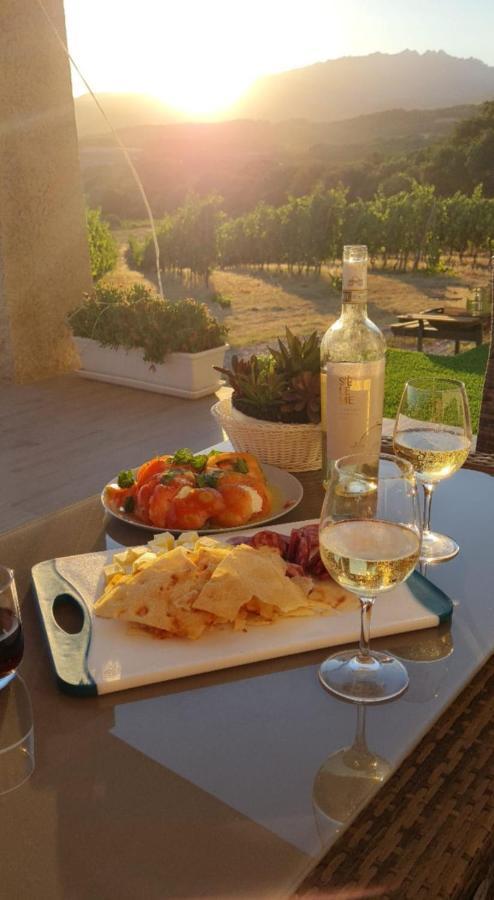 Elegant Country Open Space Deluxe Tenuta Piredu -monti-olbia Apartamento